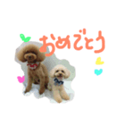 くぅ＆ぽこ（個別スタンプ：5）