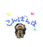 くぅ＆ぽこ（個別スタンプ：6）