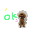 くぅ＆ぽこ（個別スタンプ：7）