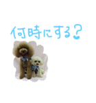くぅ＆ぽこ（個別スタンプ：8）