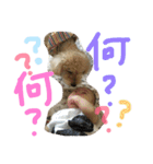もこ:)★（個別スタンプ：1）