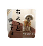 もこ:)★（個別スタンプ：3）
