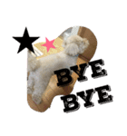 もこ:)★（個別スタンプ：10）