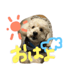 もこ:)★（個別スタンプ：12）