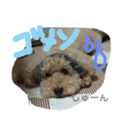 もこ:)★（個別スタンプ：14）