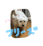 もこ:)★（個別スタンプ：15）