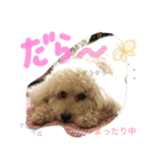 もこ:)★（個別スタンプ：18）