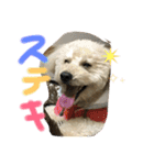 もこ:)★（個別スタンプ：22）