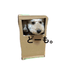 もこ:)★（個別スタンプ：23）