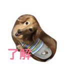 ムク アンド リク（個別スタンプ：2）