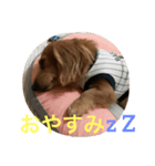 ムク アンド リク（個別スタンプ：6）