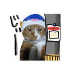 おうちの猫ども（個別スタンプ：2）