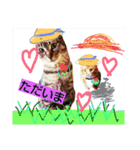 おうちの猫ども（個別スタンプ：5）