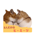 Anga＆Maru（個別スタンプ：4）