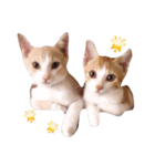 Anga＆Maru（個別スタンプ：7）