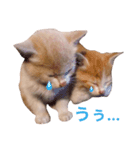 Anga＆Maru（個別スタンプ：8）