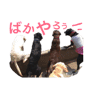 黒ラブびーたん＆チョコラブケリー2（個別スタンプ：23）