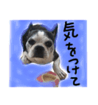 バナナズライフ（個別スタンプ：18）