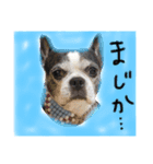 バナナズライフ（個別スタンプ：21）