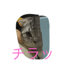 銀河と空2（個別スタンプ：1）