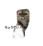 猫Love（個別スタンプ：8）