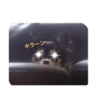 花のスタンプ。（個別スタンプ：7）