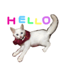 ふぁあちゃん（個別スタンプ：1）