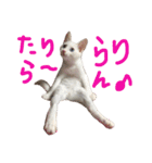 ふぁあちゃん（個別スタンプ：2）