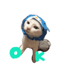 ふぁあちゃん（個別スタンプ：3）