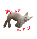 ふぁあちゃん（個別スタンプ：6）