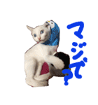 ふぁあちゃん（個別スタンプ：10）