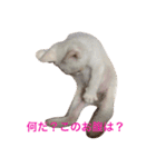 ふぁあちゃん（個別スタンプ：14）