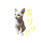 ふぁあちゃん（個別スタンプ：19）