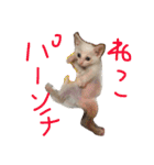 ふぁあちゃん（個別スタンプ：24）