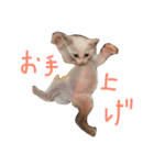 ふぁあちゃん（個別スタンプ：25）