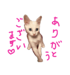ふぁあちゃん（個別スタンプ：26）