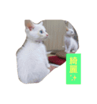 ふぁあちゃん（個別スタンプ：27）