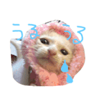 ふぁあちゃん（個別スタンプ：39）