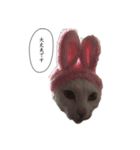 にゃーすけ#優男〜（個別スタンプ：2）