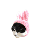 うちの牛猫さん（個別スタンプ：22）