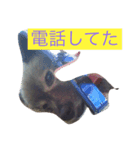 犬モモンガ（個別スタンプ：2）