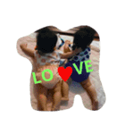 twin*S LIFE（個別スタンプ：13）