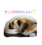 みゅうこ2（個別スタンプ：5）