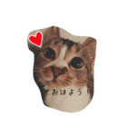 ねぎまだよっ！（個別スタンプ：1）