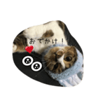 ねぎまだよっ！（個別スタンプ：7）