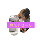 family's ena（個別スタンプ：5）