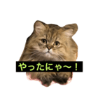 ちゃみ パート2（個別スタンプ：8）