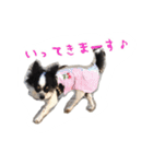 くるみとちょこSTYLE（個別スタンプ：3）