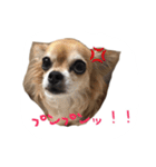 くるみとちょこSTYLE（個別スタンプ：5）