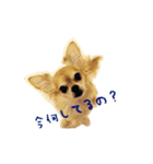 くるみとちょこSTYLE（個別スタンプ：6）